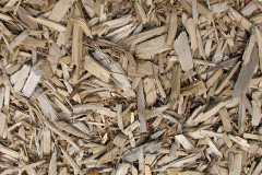 biomass boilers Dalmilling